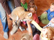 Lištička Mia ve školce